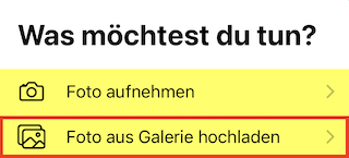 Foto aus Galerie hochladen